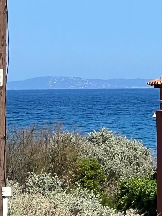 Plein Sud, Bel Appartement 20 Metres De La Plage La Capte Йер Экстерьер фото